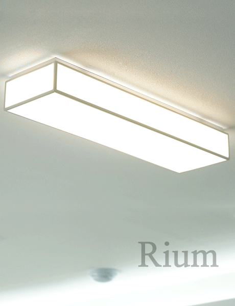 LED 베르디 바리솔 색변환 주방/욕실등 25W